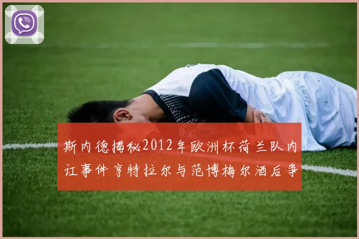 斯内德揭秘2012年欧洲杯荷兰队内讧事件亨特拉尔与范博梅尔酒后争执内幕